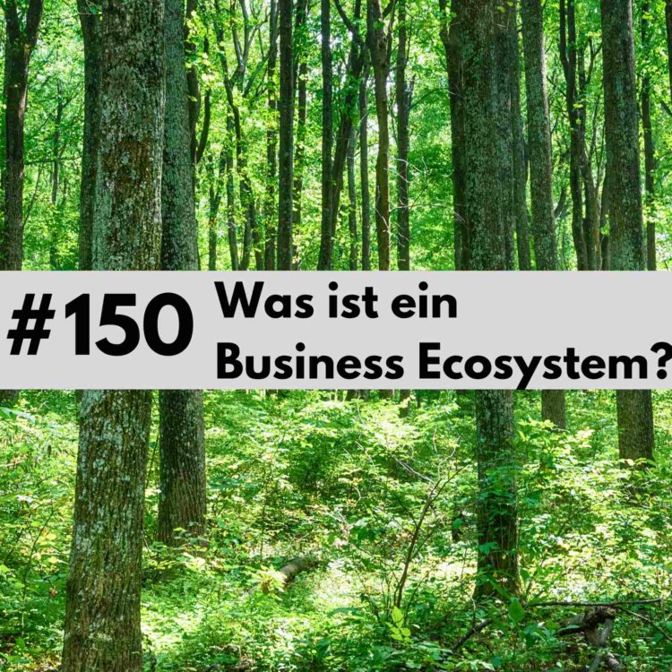 150 Was ist ein Business Ecosystem