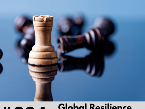 234-Global Resilience Index